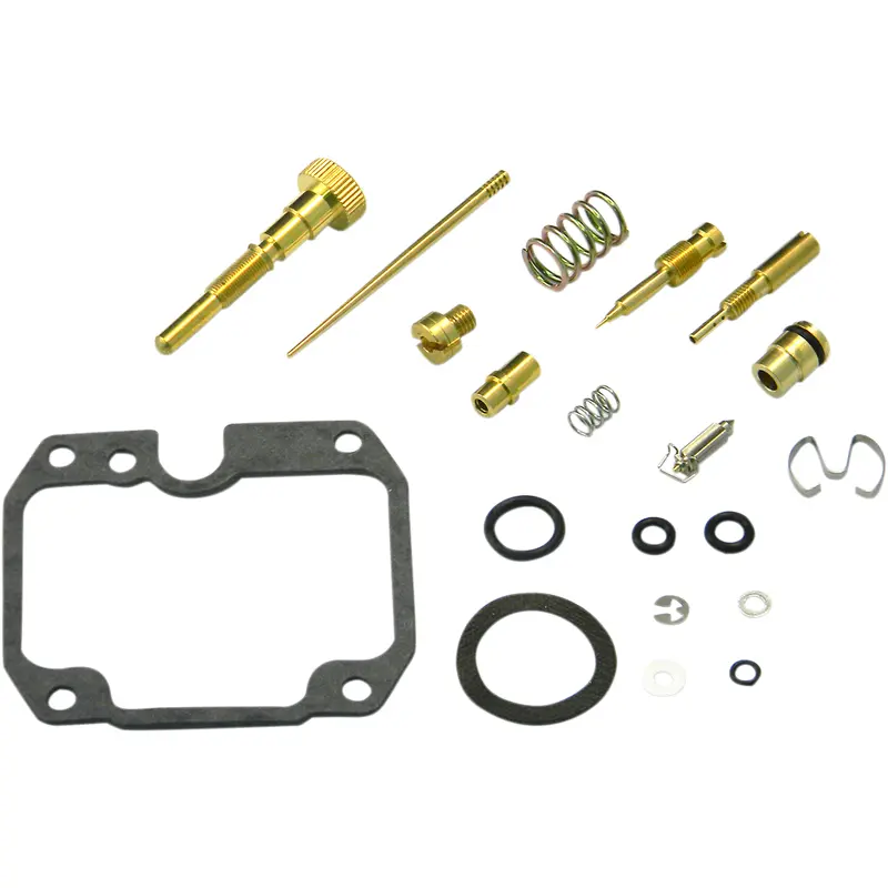 Carburetor Repair Kit