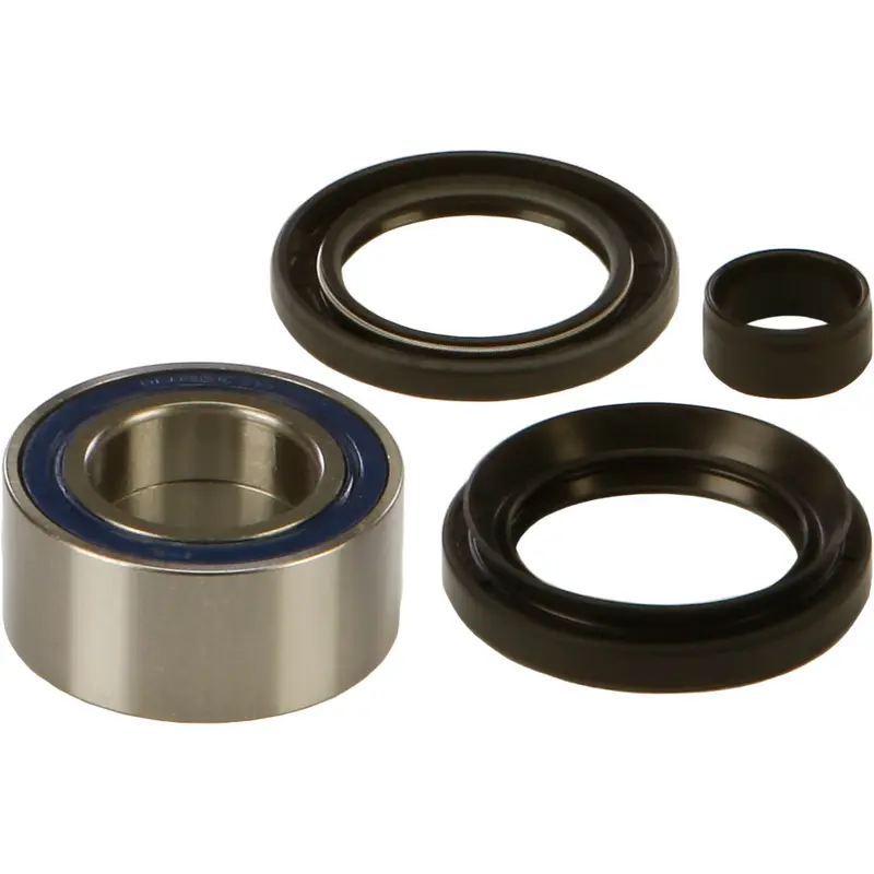 ALL BALLS WHEEL BEARING & SEAL KIT