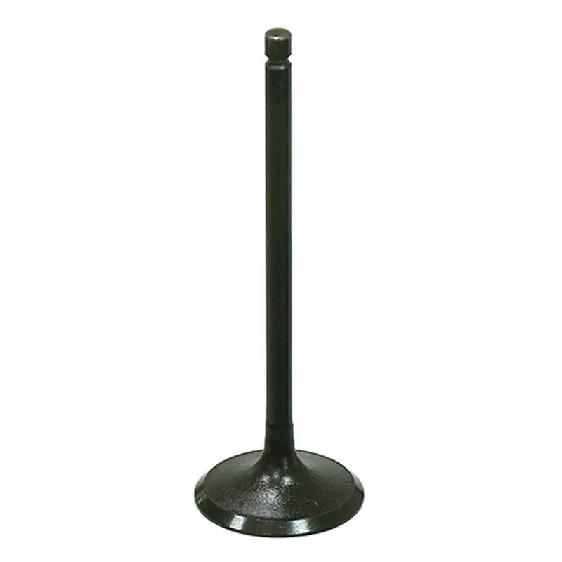 BRONCO INTAKE VALVE