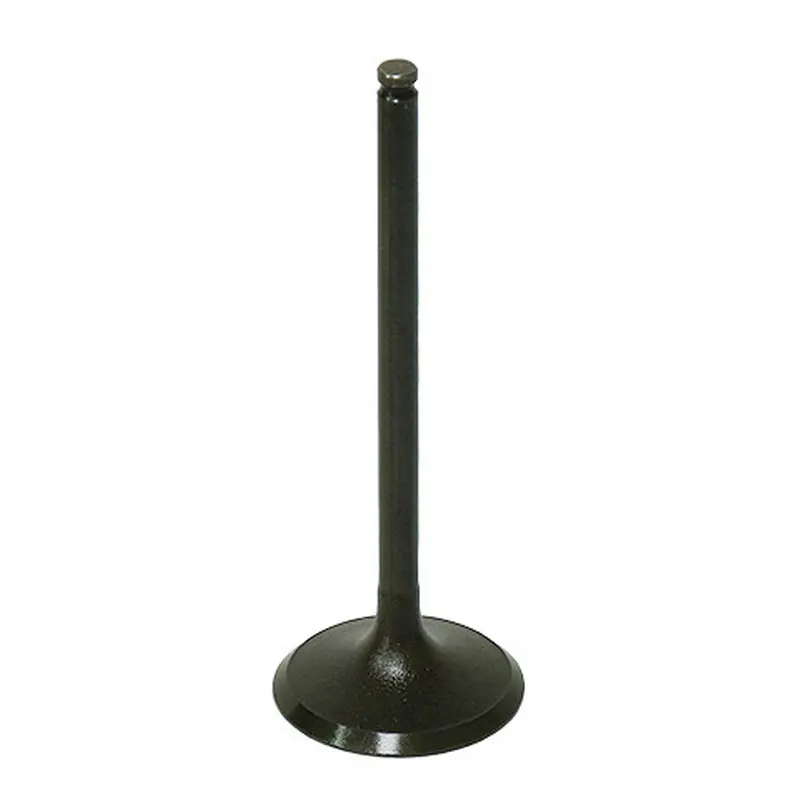 BRONCO INTAKE VALVE
