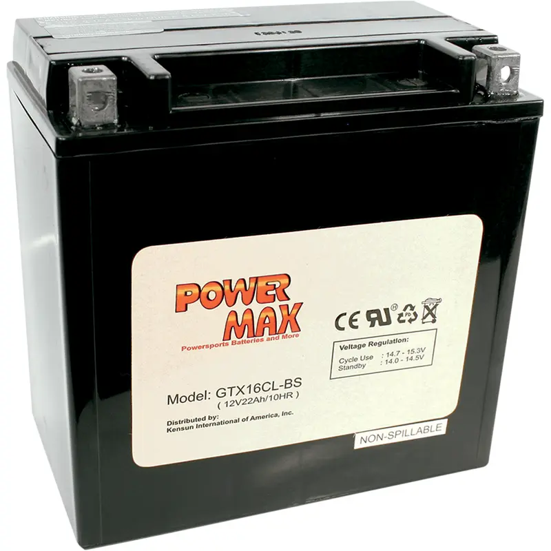 Maintenance-Free Battery