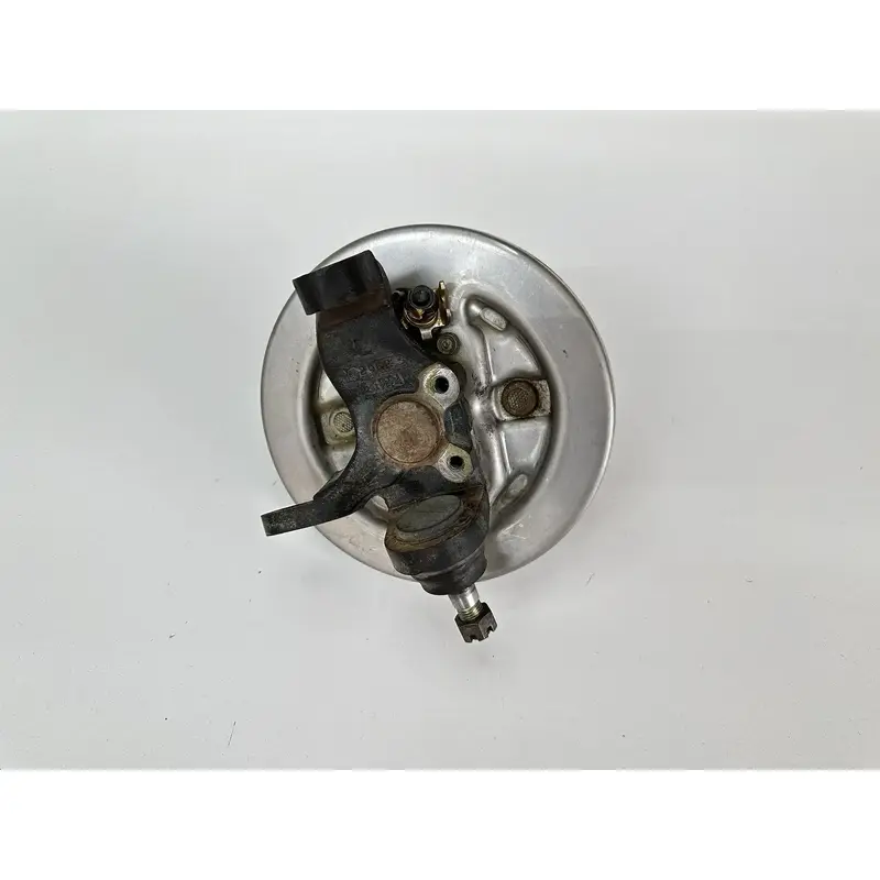 93 94 95 HONDA TRX 300 TRX300 FOURTRAX 2X4 LEFT FRONT KNUCKLE & BRAKE PLATE ASSY
