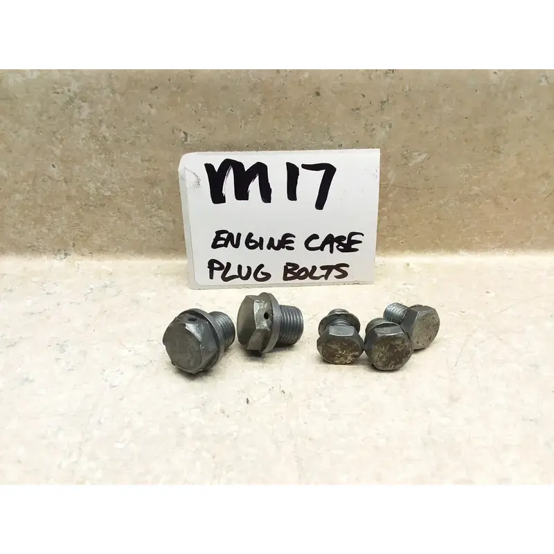 VTG 1970 Suzuki T250-II Hustler Engine Case Oil Plug Bolt Lot ANX-B216 #M17