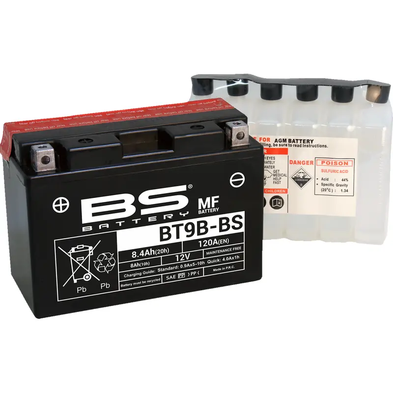 Maintenance-Free Battery