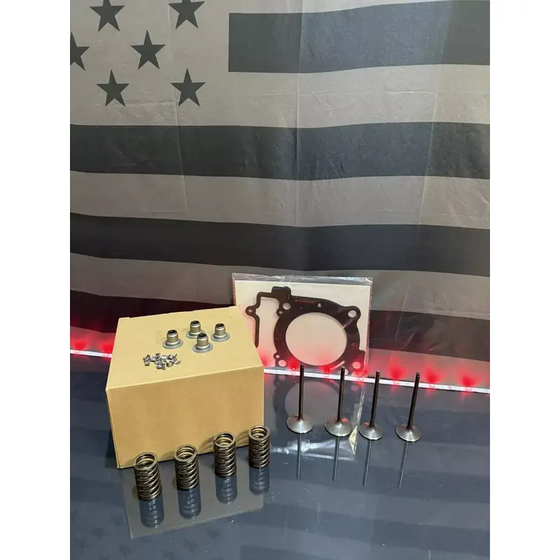 17-22 Polaris RZR 570 Valves / Valve Springs / Keepers/ Seals
