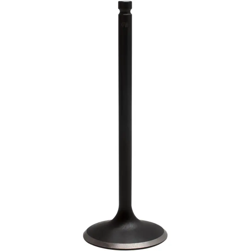 Black Diamond Engine Valve