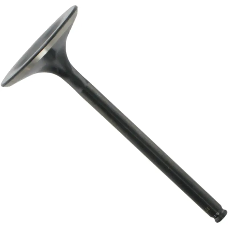 Black Diamond Engine Valve