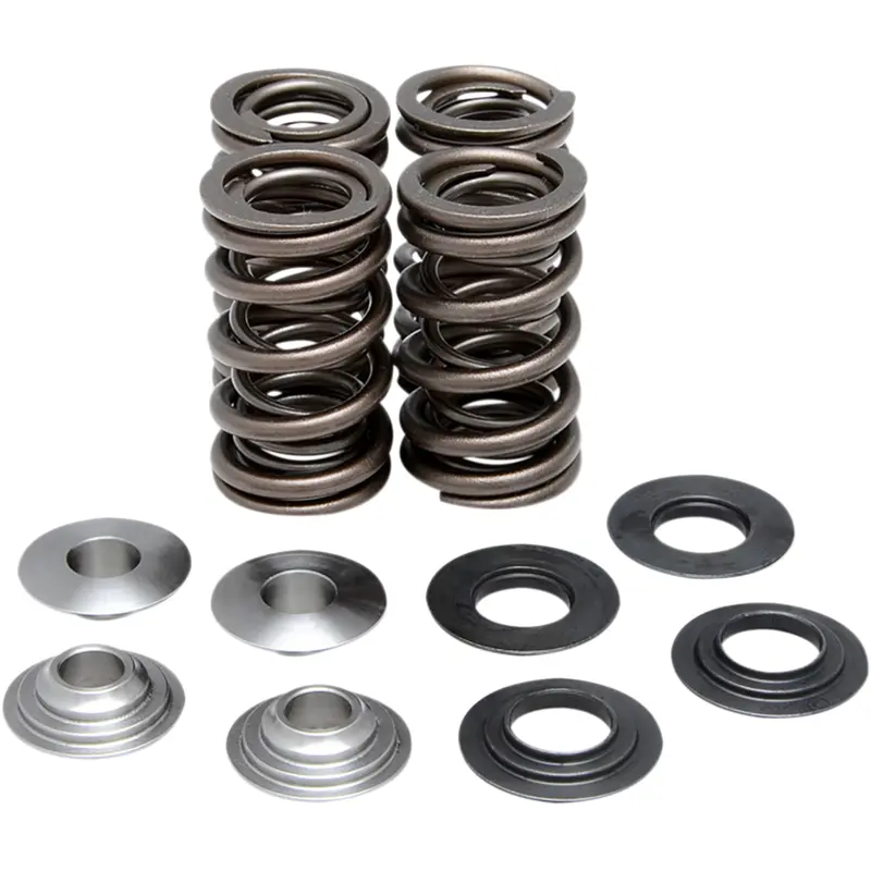 Valve Spring Kit
