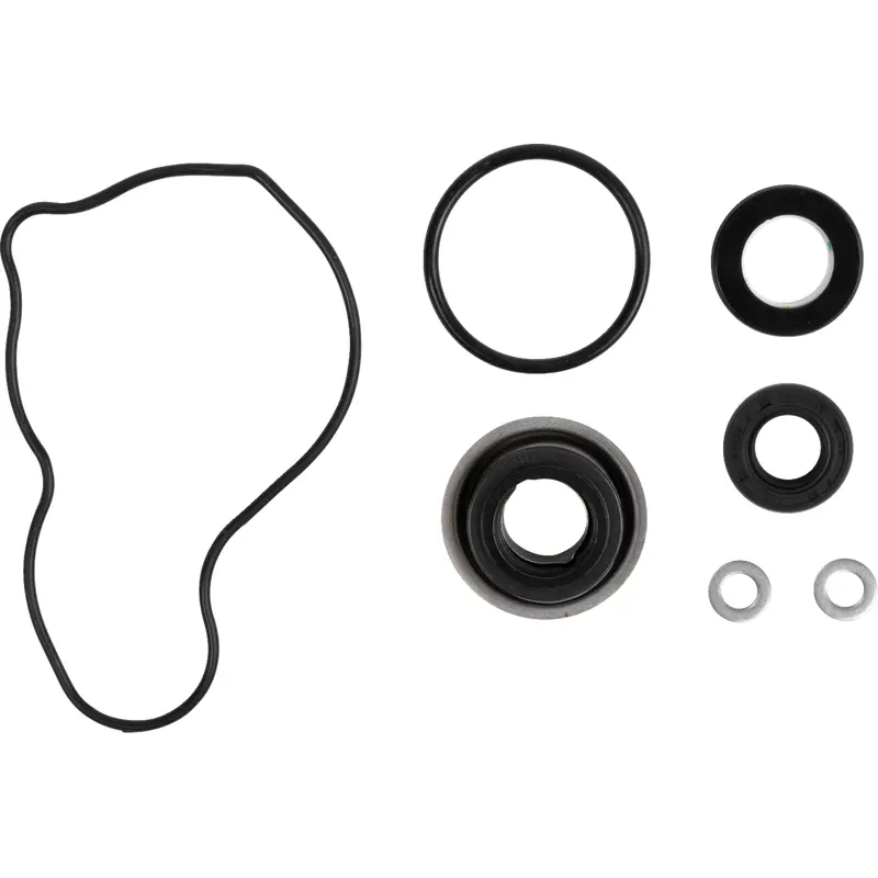 Water Pump Rebuild Kit