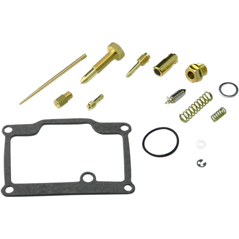 Carburetor Repair Kit