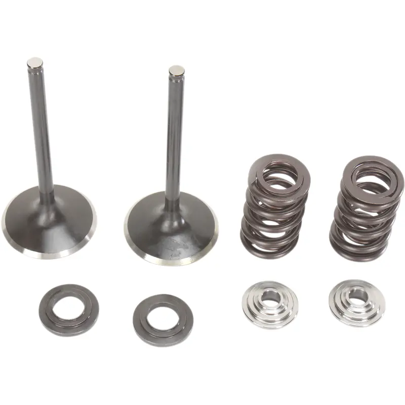 Stainless Intake Valve and Spring Kit