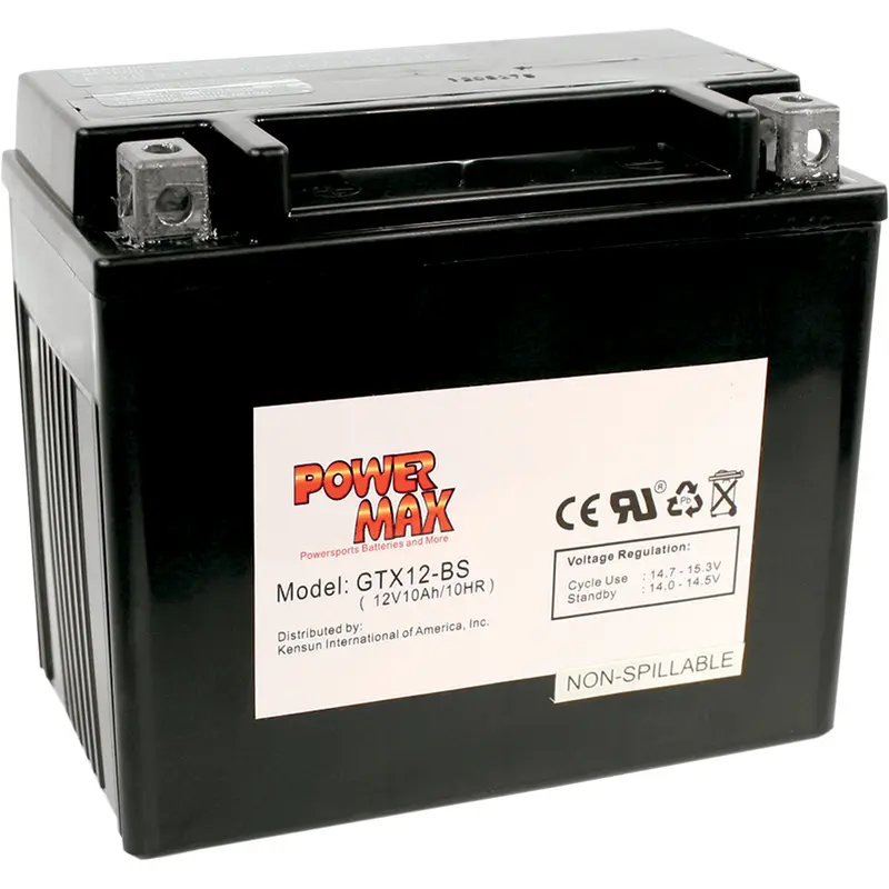 Maintenance-Free Battery