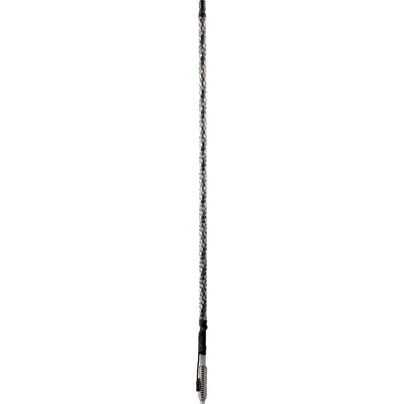 Bluetooth Whip Light