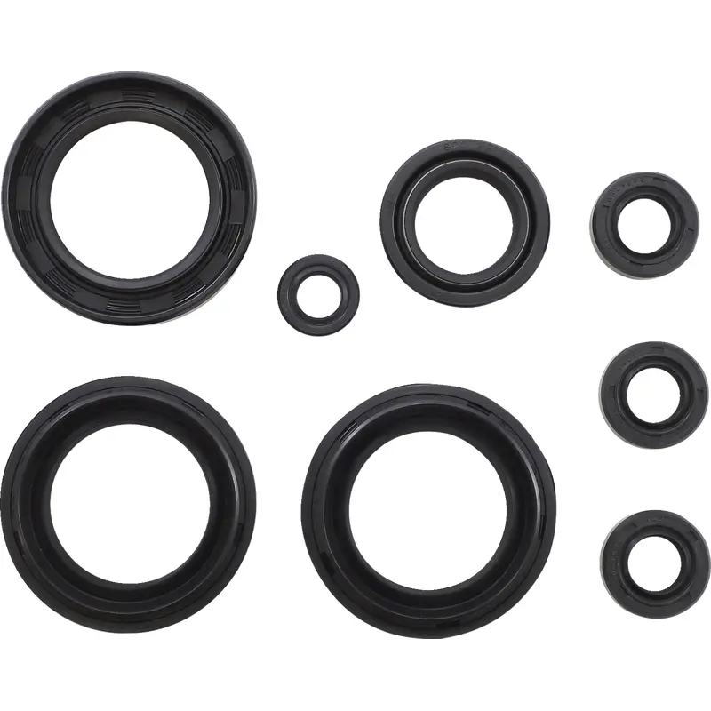 Oil Seal Set