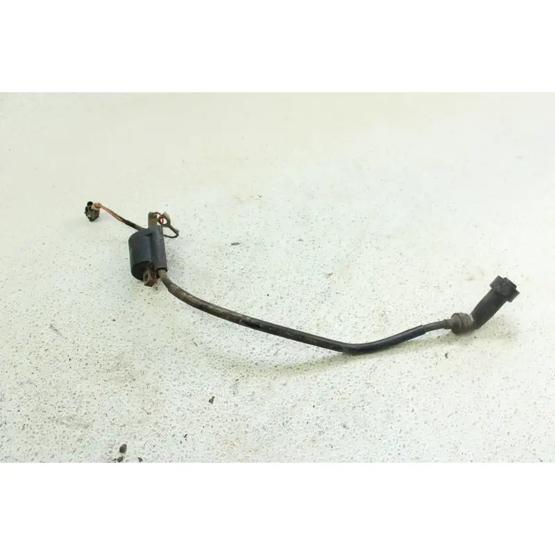 2007 Yamaha Grizzly 400 OEM Ignition Coil  B4470