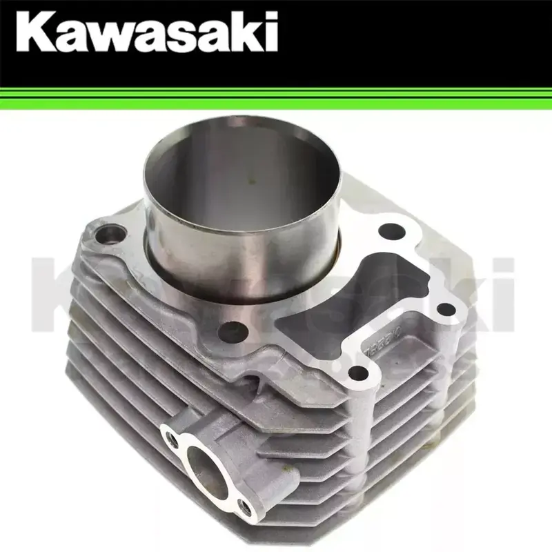 NEW 2003-2011 GENUINE KAWASAKI BAYOU 250 ENGINE CYLINDER KLF250 11005-1965