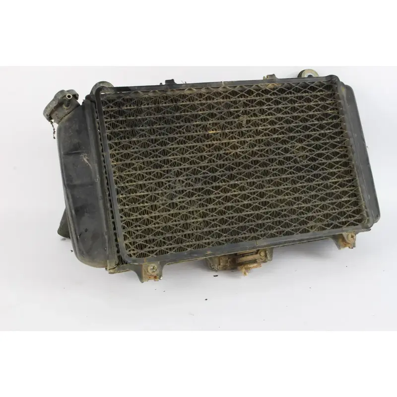 2002 Kawasaki Mojave Ksf250a Oem Engine Radiator Cooler Cooling Assembly S4465