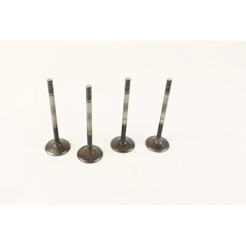 2006 Yamaha Raptor 700 Yfm700r Intake Valve c7248