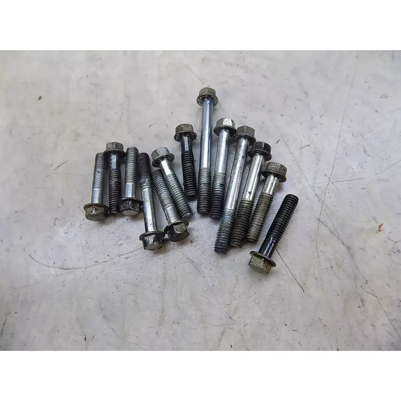 Honda ATC350X Ignition Cover (bolts only)   ATC 350X x 1986