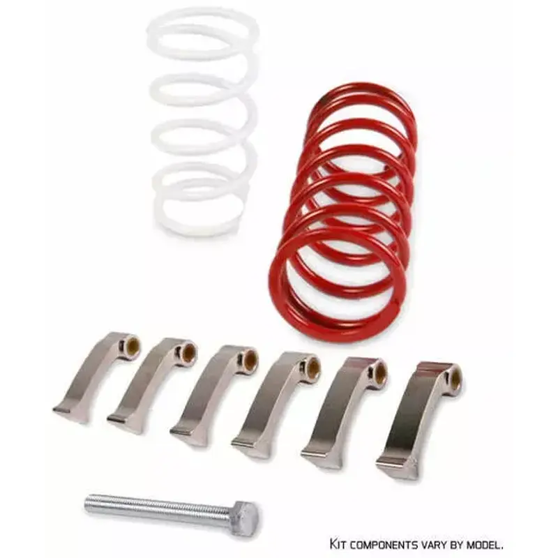 EPI Mudder Clutch Kit WE437057