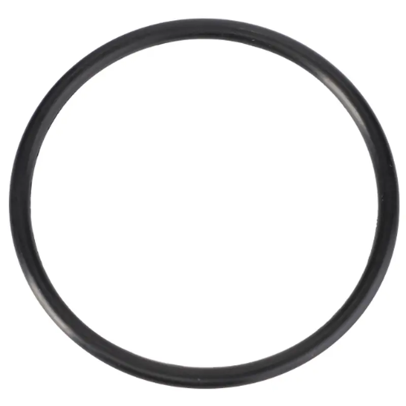 Massey Ferguson - O Ring Cover - 70923646