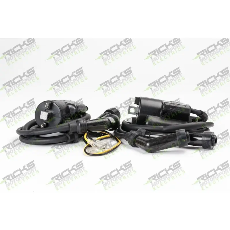 Ricks Ignition Coil 23-201