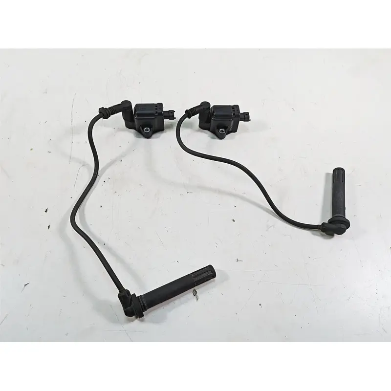 2016 Ducati Panigale 1299 S Eldor Ignition Coil Set - Tested 38040221B