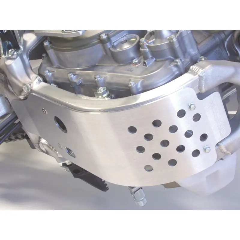 WORKS SKID PLATE 10-036