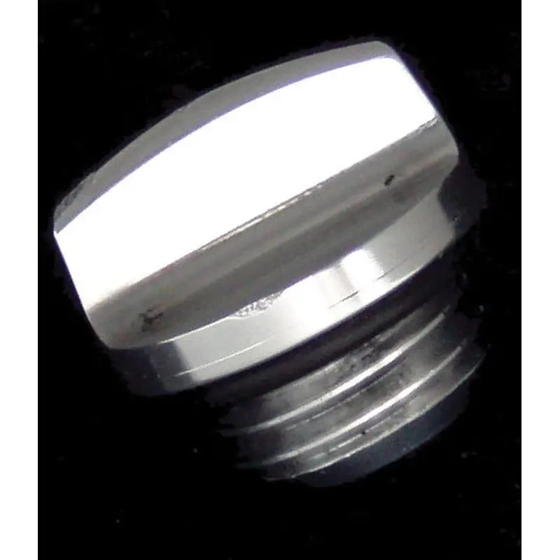 Oil Plug & Cap (Silver)