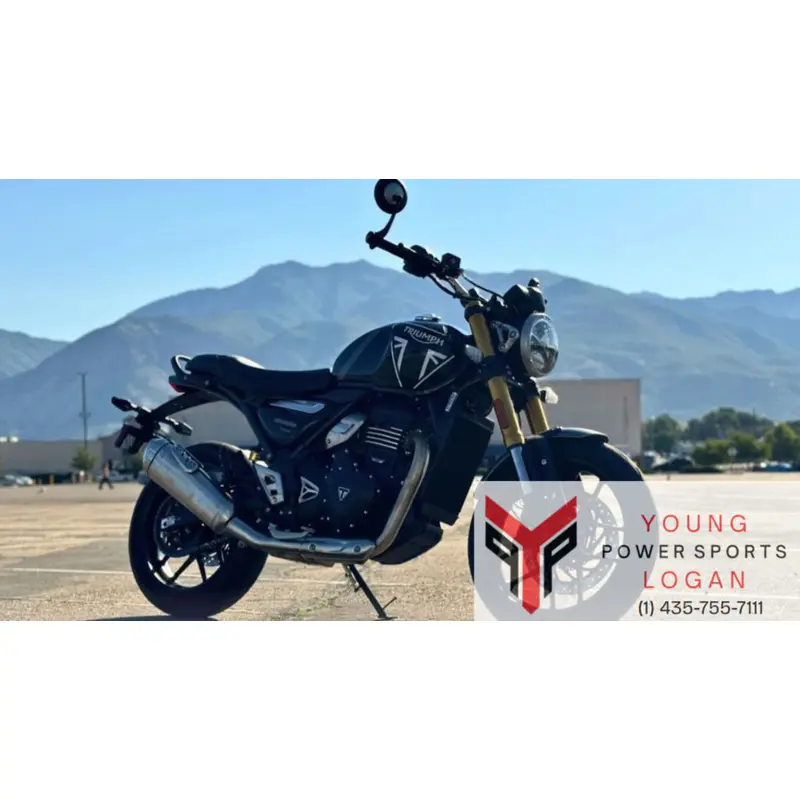 New 2024 Triumph Speed 400 Phantom Black / Storm Grey