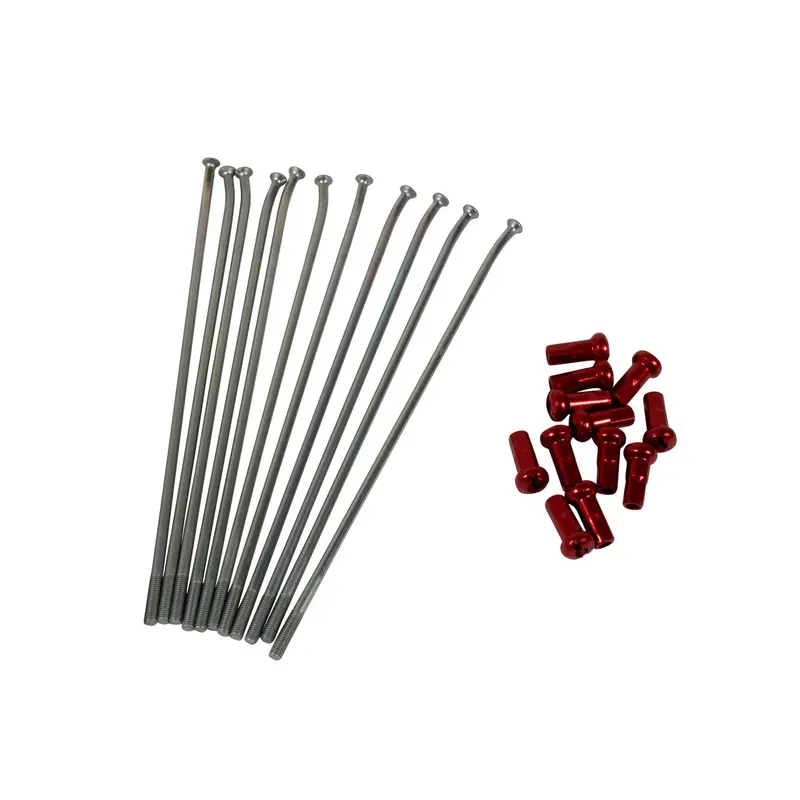 Beta - Kite Spoke Kit, 19", Silver