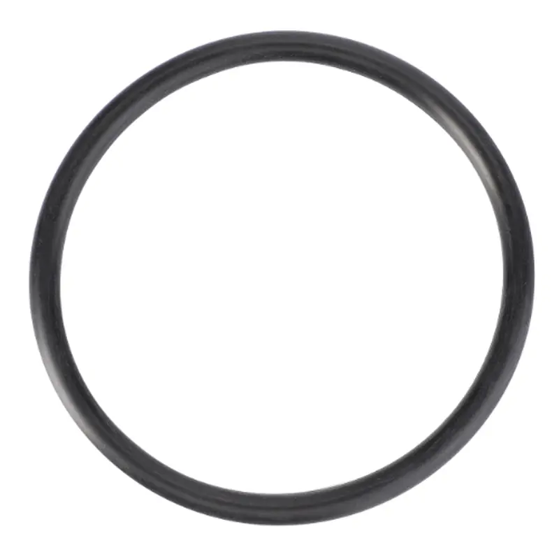 Massey Ferguson - O Ring - 70923936