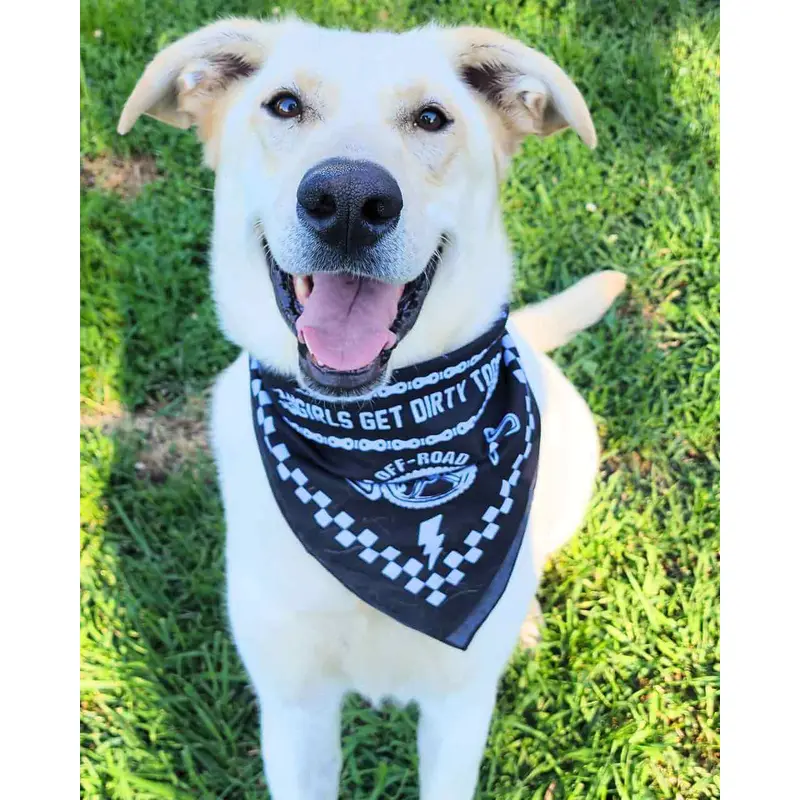 Be Epic Bandana
