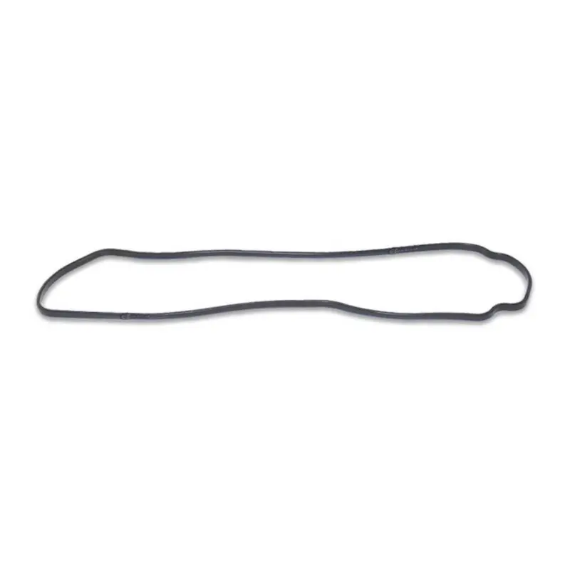 Quantum Fuel Pump Seal Gasket