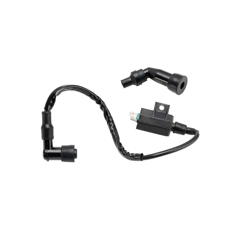 Suzuki LTF230 DR125 DR200 LT-F250 LT-Z250 CDI BOX Igniter 33410-18A00