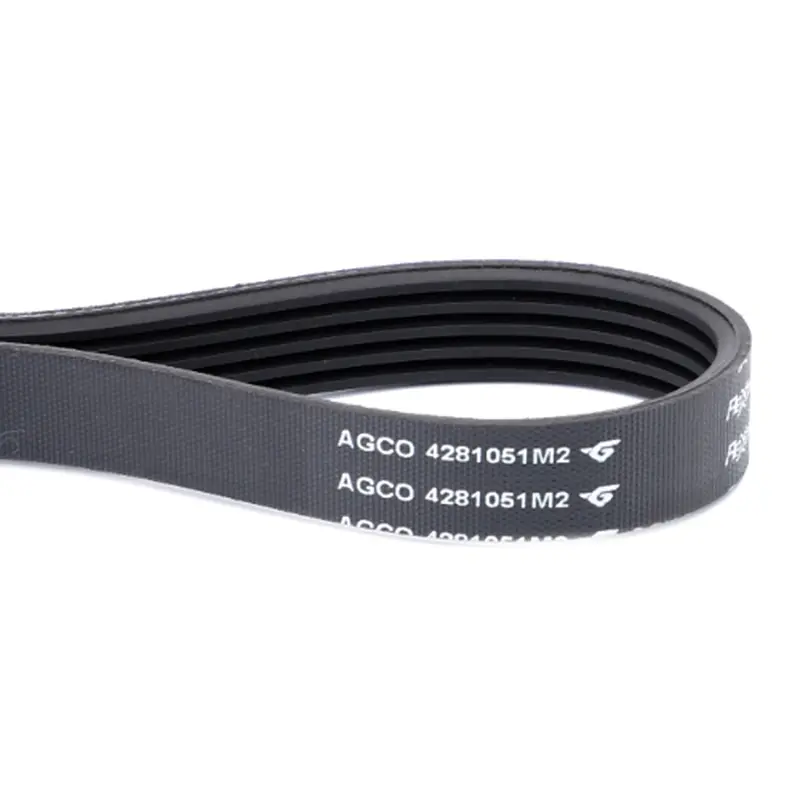 Massey Ferguson - Fan Belt - 4281051M2