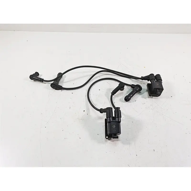 2020 Ducati Scrambler 1100 Sport Pro Beru Ignition Coil Set 38040101C