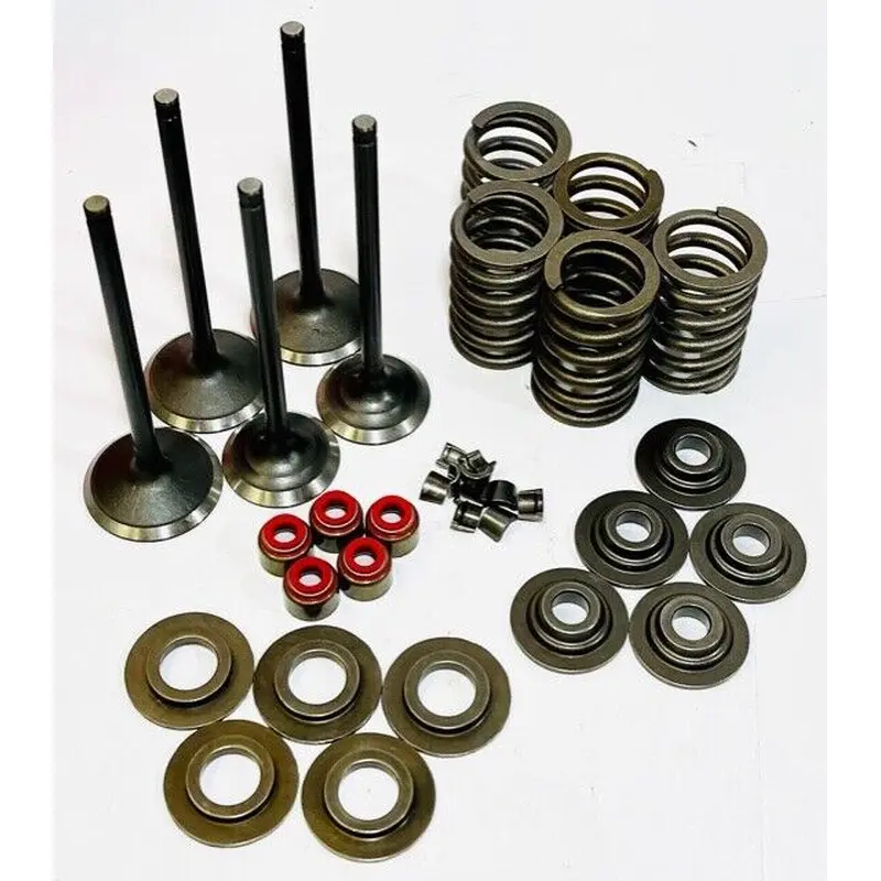 Raptor 660 Valves Valve Springs Retainers Spring Kit Aftermarket Head Rebuild