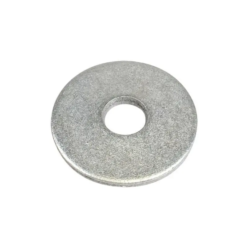 Polaris Spring Washer