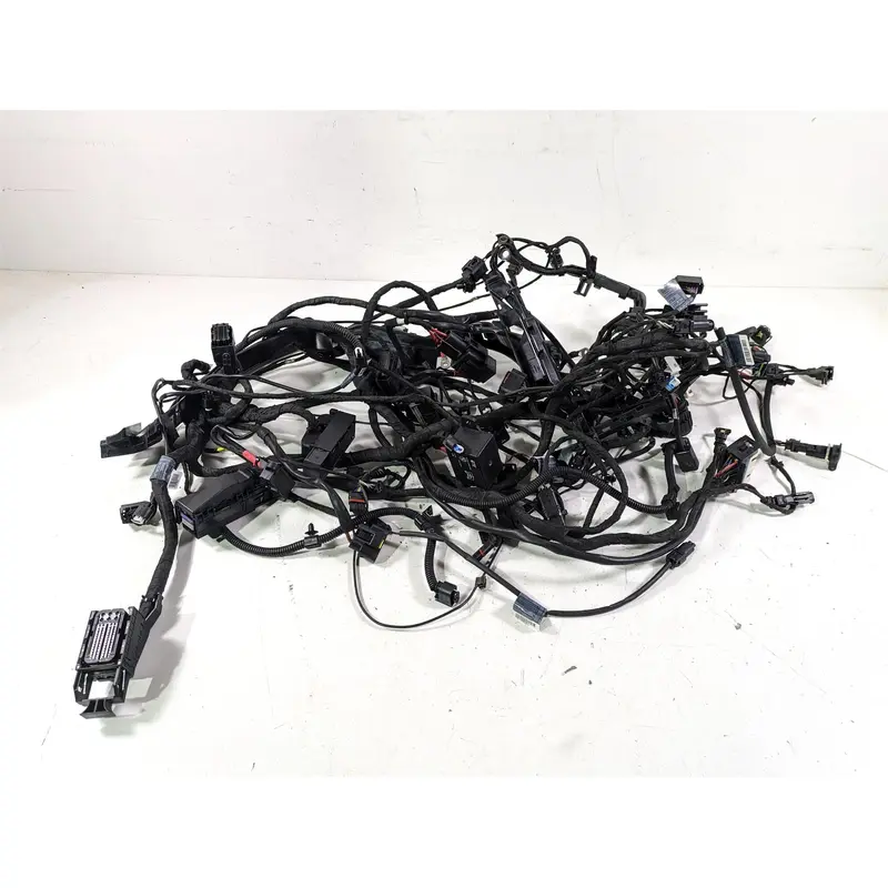 2022 BMW R1250 RT K052 Main & Engine Wiring Harness Esa - Read 61111683202