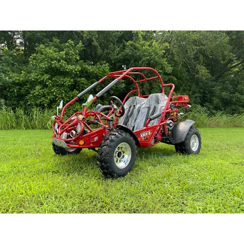 Trailmaster 300 XRX EFI Adult Go-Kart Buggy