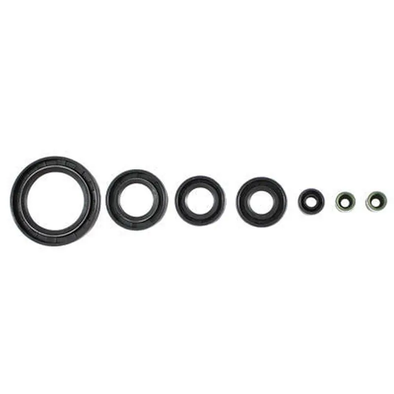 Engine Seal Set for 200cc 250cc ATVs ATA250D