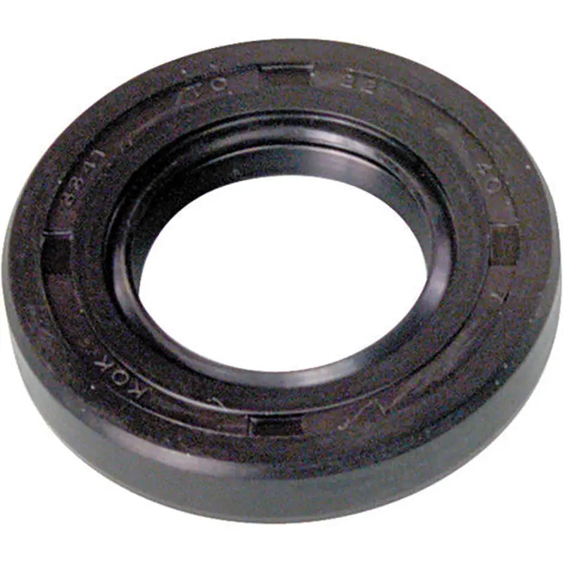 Oil Seal S/M 10x22x6