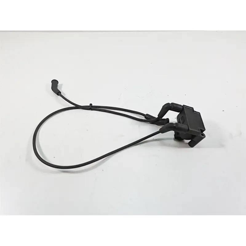 2011 Harley Touring FLTRU Road Glide Delphi Ignition Coil Wires Plugs 31696-07A