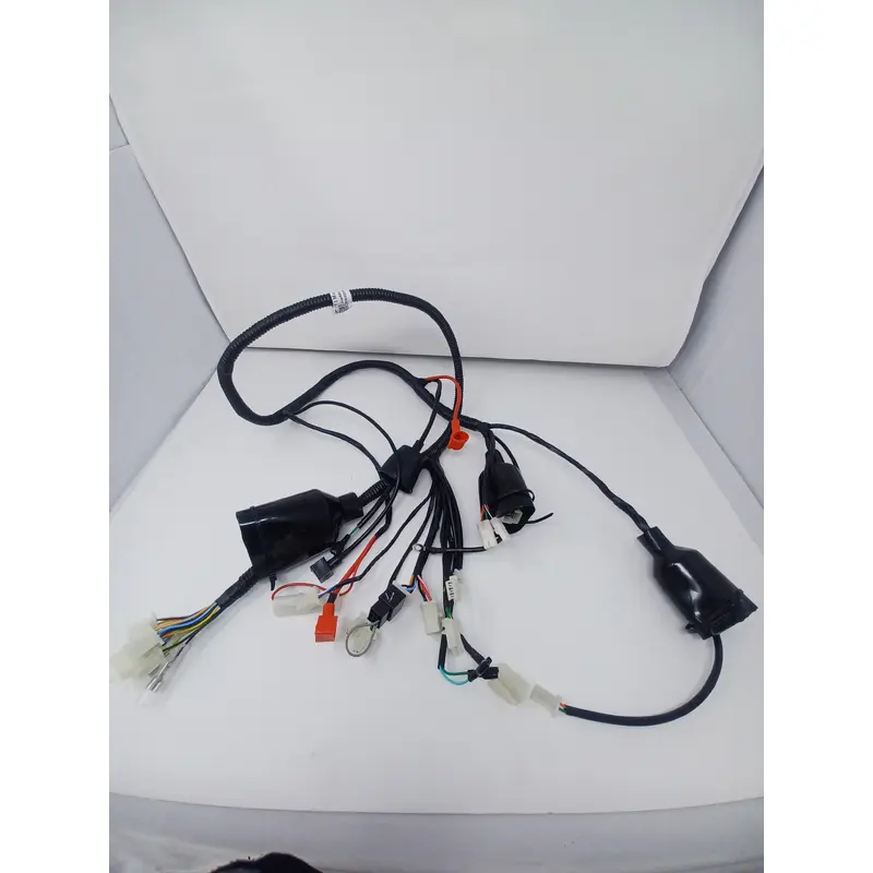 50cc Roma Scooter - Wiring Harness 32100-S9E1-0000
