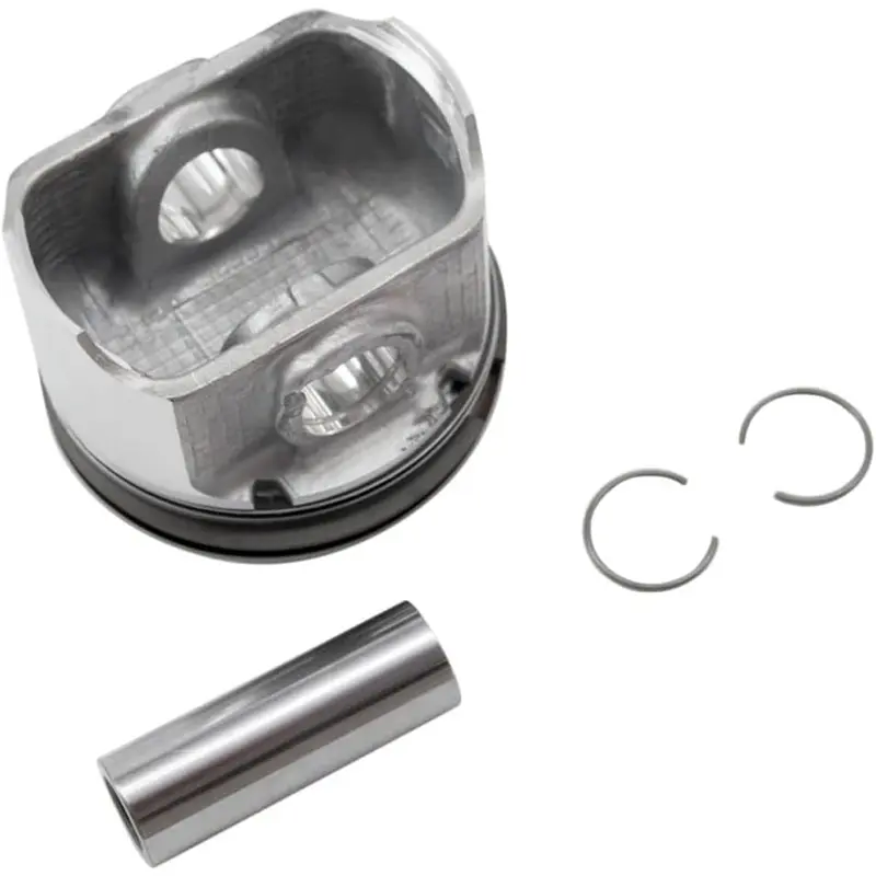 Polaris Piston Kit