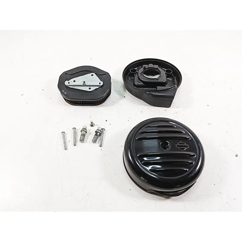 2019 Harley XL883N Sportster Iron Air Cleaner Breather Filter 29000015A 61300541